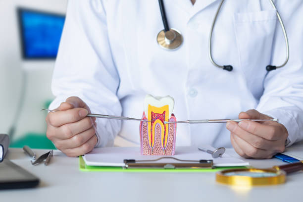 Best Knocked-Out Tooth (Avulsed Tooth) Treatment in South Woodstock, CT